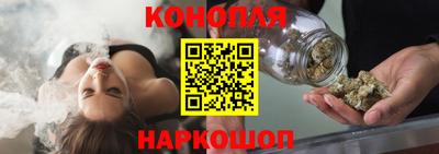 индика Будённовск